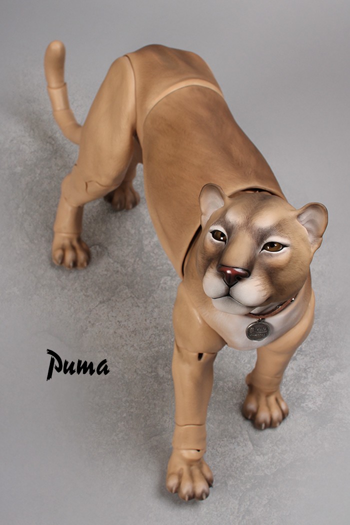 ipleouse Pet Doll - Puma 1/3 BJD - Click Image to Close